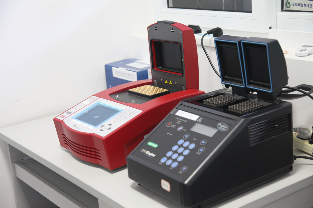热循环仪(PCR仪)